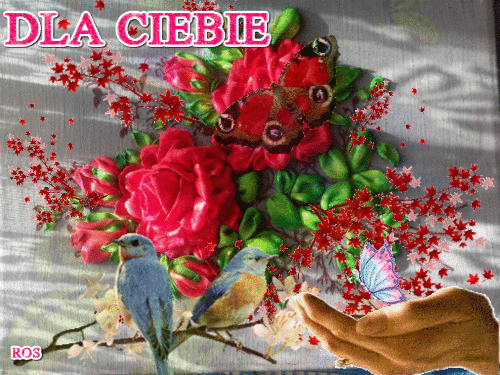 Dla ciebie motylki róże ptaszki